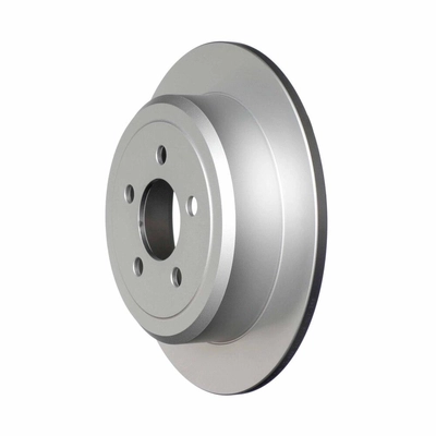Rear Disc Brake Rotor