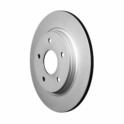 Rear Disc Brake Rotor