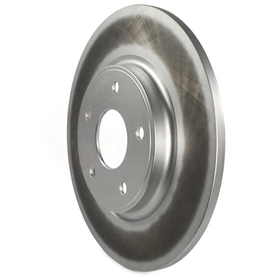 Rear Disc Brake Rotor