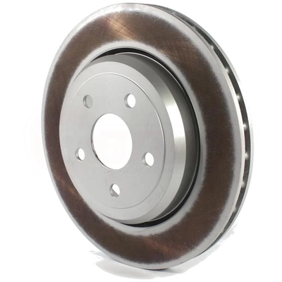 Rear Disc Brake Rotor