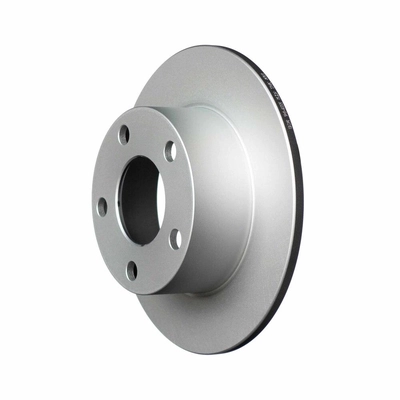 Rear Disc Brake Rotor