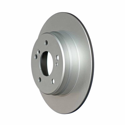 Rear Disc Brake Rotor