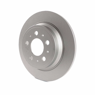 Rear Disc Brake Rotor