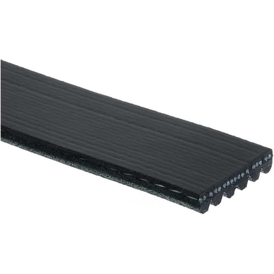 TRANSIT WAREHOUSE - KBR-5060640 - Serpentine Belt