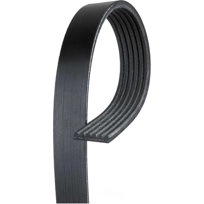 TRANSIT WAREHOUSE - KBR-5070825 - Serpentine Belt