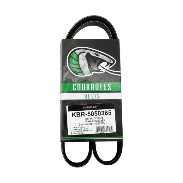 Serpentine Belt KBR-5050365 For Volkswagen Jetta Golf Rabbit Honda Accord TL
